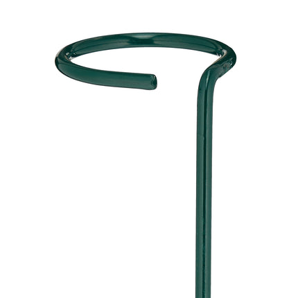 Plant Supports with Ring, Set of 6 Metal Stakes