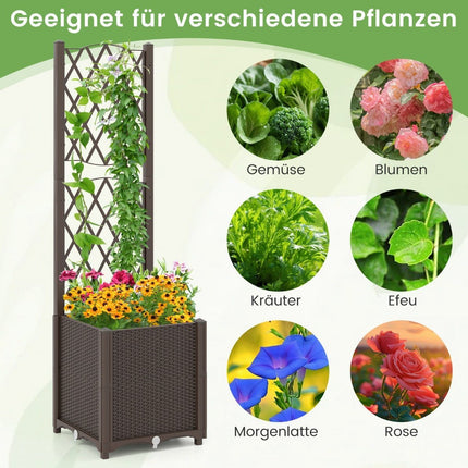 Planter Box with Trellis, Self-Watering, 40x40x140 cm