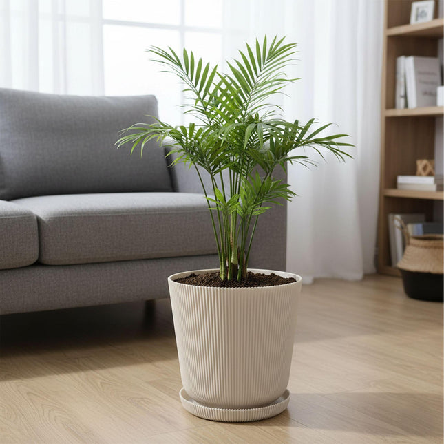 Planters with Saucers, Set of 2, Indoor/Outdoor