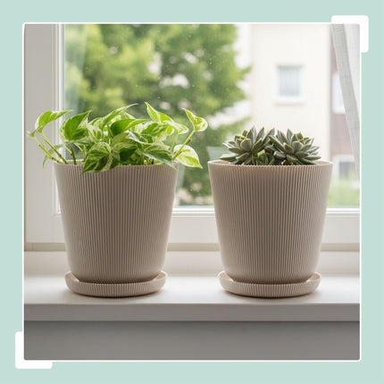 Planters with Saucers, Set of 2, Indoor/Outdoor