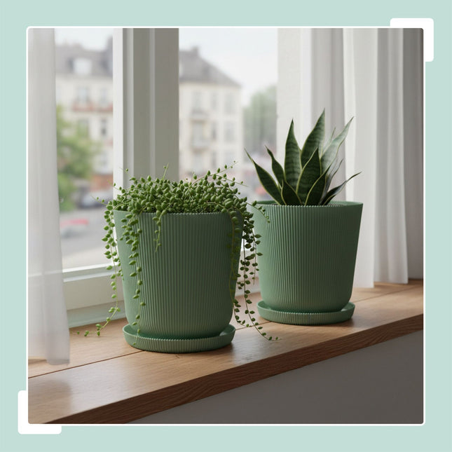 Planters with Saucers, Set of 2, Indoor/Outdoor