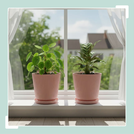Planters with Saucers, Set of 2, Indoor/Outdoor