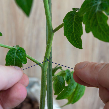 Planting sticks 100 cm in 10-pack