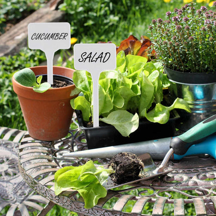 Plant labels, 100-pack
