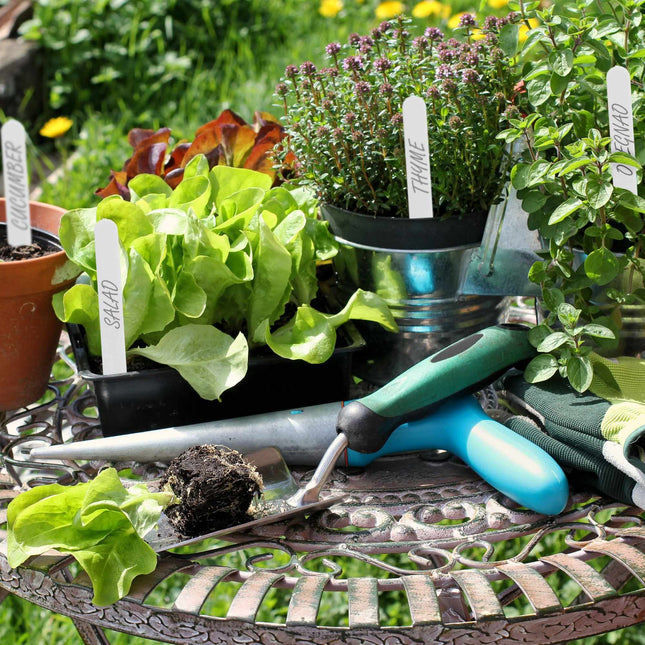 Plant labels, 300-pack