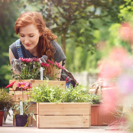 Plant labels in a set of 500
