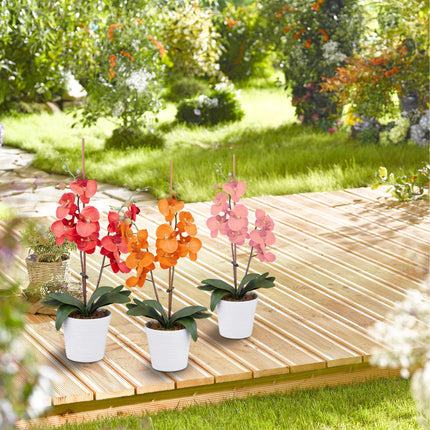 Plant rings set of 300