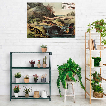 Plant shelf with 4 shelves