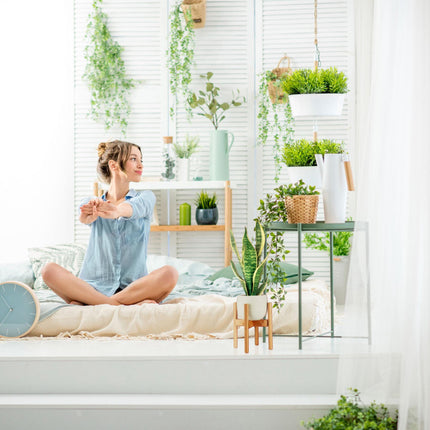 Plant stand set of 2