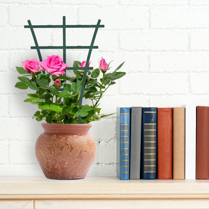 Plant support 12-pack