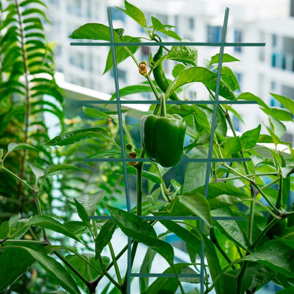 Plant support set of 12 pcs