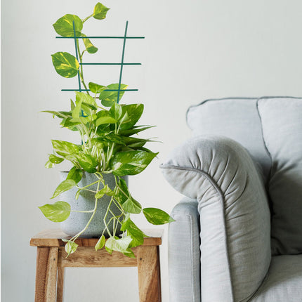 Plant support set of 12 pcs