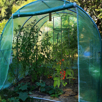 Plant support set of 4,150 cm