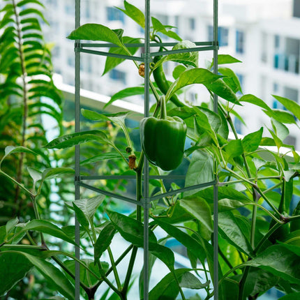 Plant support set of 4 90 cm