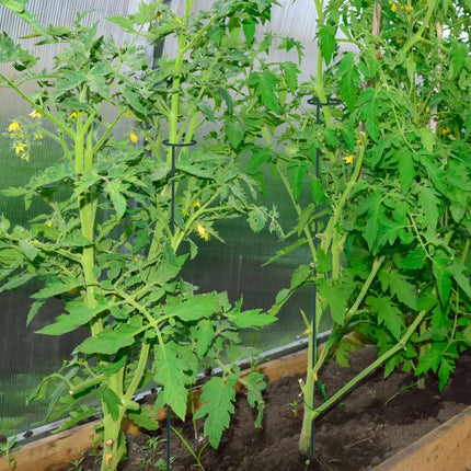 Plant supports in metal, 8-pack