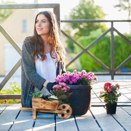 Plant wheelbarrow set of 2