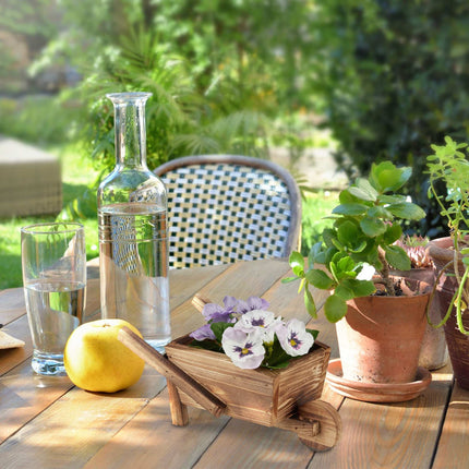 Plant wheelbarrow set of 2