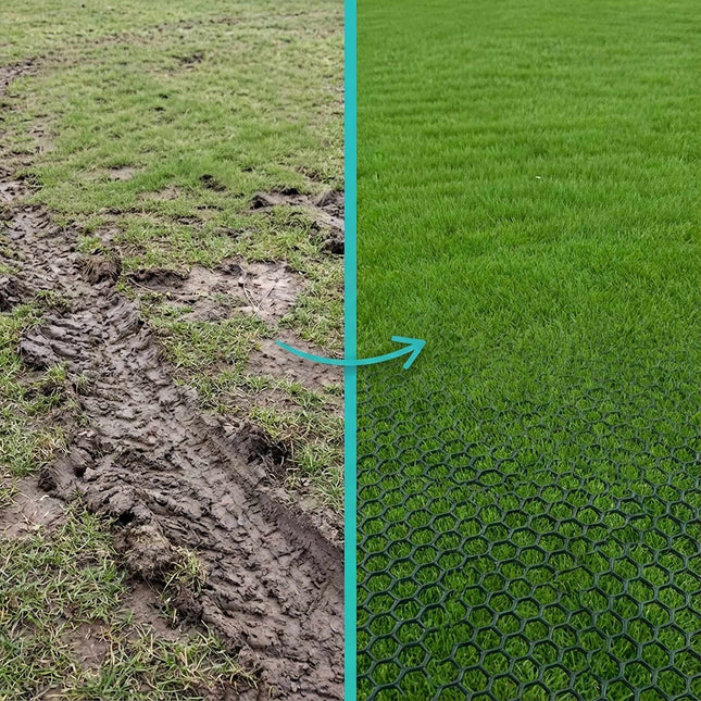 Plastic Lawn Grid for Stabilizing and Protecting Lawns
