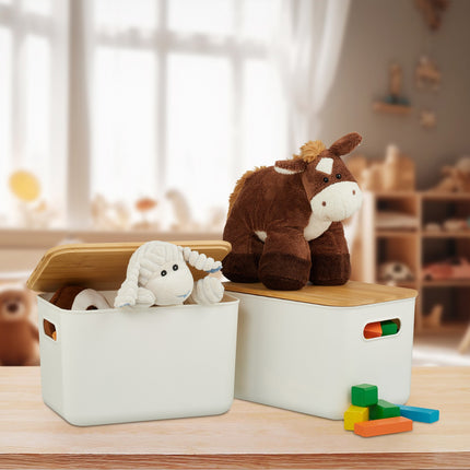 Plastic Storage Boxes with Bamboo Lids, Set of 2