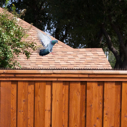Plastic bird protection – Pack of 20