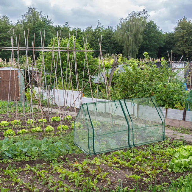 Plastic greenhouse with 2 doors