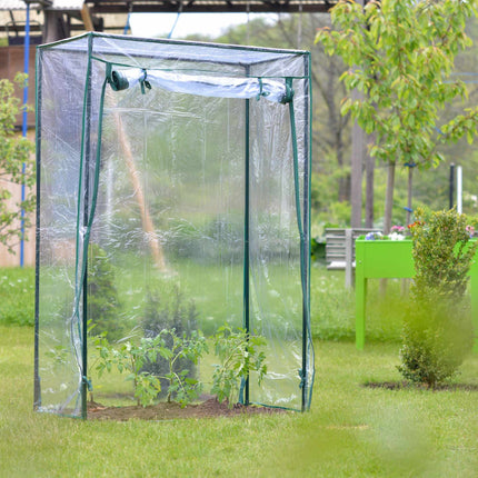 Plastic tomato greenhouse