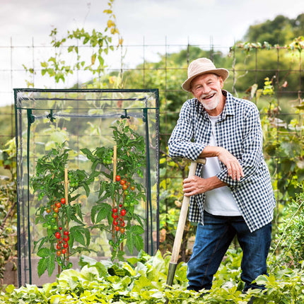 Plastic tomato greenhouse