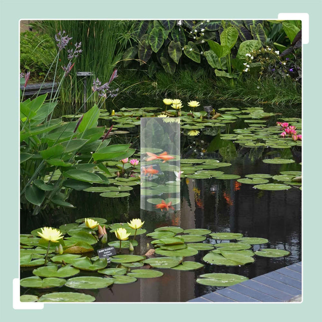 Pond Fish Observation Column, UV-Stable Acrylic