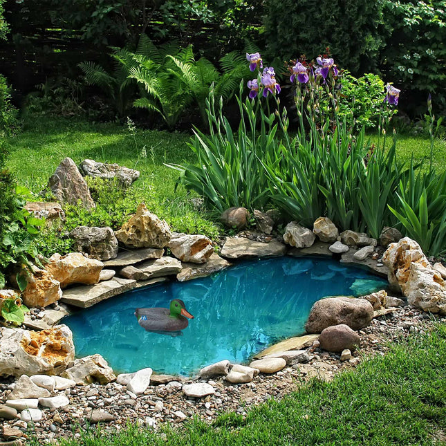 Pond decoration wild duck