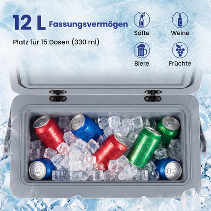 Portable 12L Hard-Shell Cooler with Ergonomic Handle