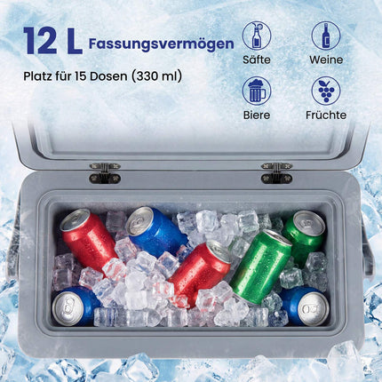 Portable 12L Hard-Shell Cooler with Handle, Dark Grey