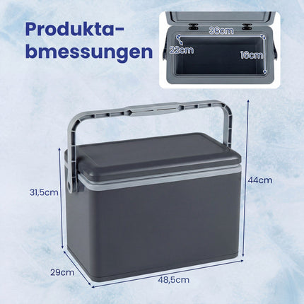 Portable 12L Hard-Shell Cooler with Handle, Dark Grey