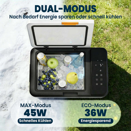 Portable 20L Electric Cooler with App Control & LED