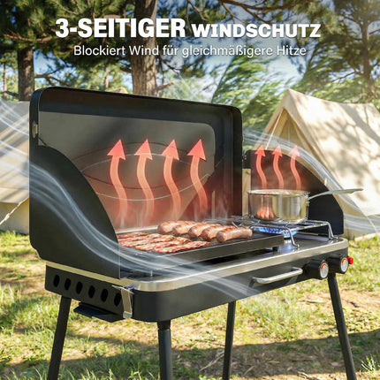 Portable 2-Burner Gas Grill, 7 kW, Tabletop Convertible