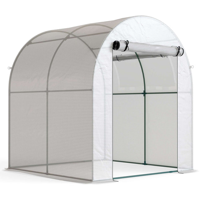 Portable Greenhouse with Steel Frame, Plastic Cover, 6x6 ft