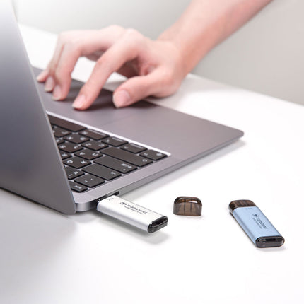 Portable Mini SSD ESD300C USB-C 1TB 10Gbps (R1050/W950 Mb/s) Silver