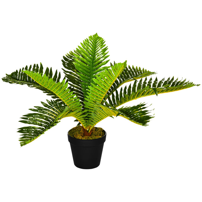50 cm indoor pot plant - perfect for living room and bedroom