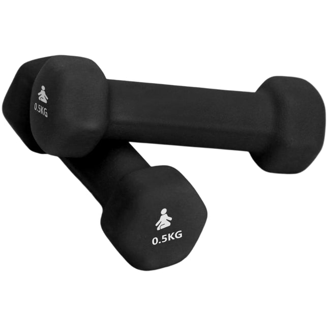 Premium Dumbbells 2 x 0.5 kg