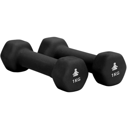 Premium Dumbbells 2 x 1 kg