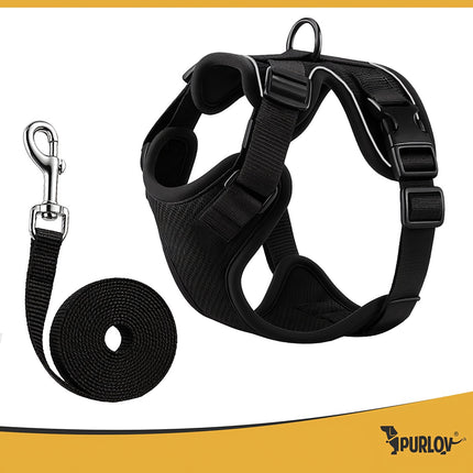 Pressure-Free XS Harness for Dogs & Cats with Leash