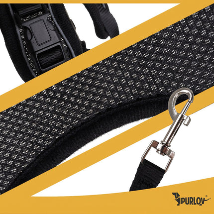 Pressure-Free XS Harness for Dogs & Cats with Leash