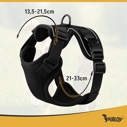 Pressure-Free XS Harness for Dogs & Cats with Leash
