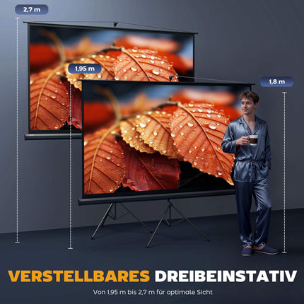 Projector Screen with Stand, 100 Inch, 16:9 HD 4K