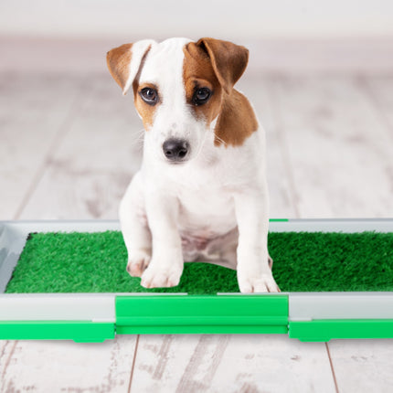 Puppy Litter Tray with Grass – Easy Clean Dog Toilet