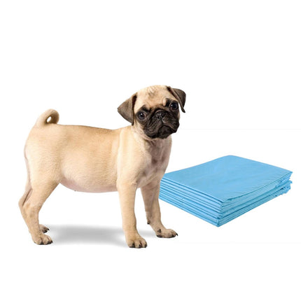 Puppy Training Pads, 5-Layer, Leak-Proof, 200 Pack