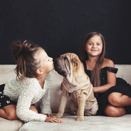 Puppy kennel with floor