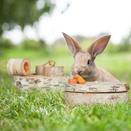 Rabbit toy in 2 pieces