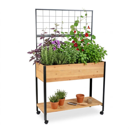 Raised Bed with Trellis and Shelf – Pine and Steel