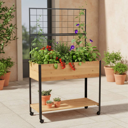 Raised Bed with Trellis and Shelf – Pine and Steel