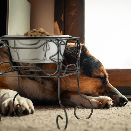 Raised Dog Bowl Stand, 1500 ml, Stainless Steel